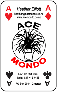 Ace Mondo